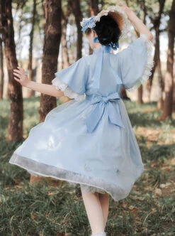Iris Flower Series OP Butterfly Sleeve Embroidery Blue Classic Lolita Short Sleeve Dress -MIMY Lolita Shop 9 500x672 203
